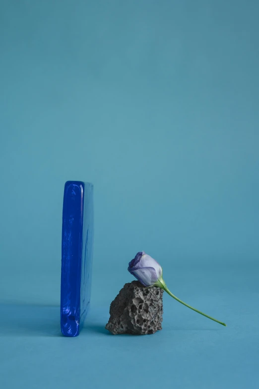 a purple rose sitting on top of a rock next to a blue vase, an album cover, inspired by Yves Klein, romanticism, ignant, cast glass, 2010s, geology