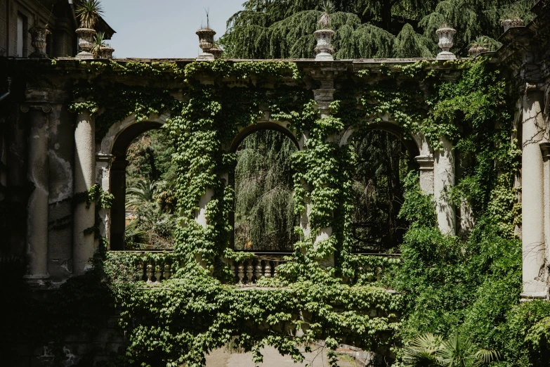 a bride and groom standing under an archway in a garden, an album cover, inspired by Luis Paret y Alcazar, pexels contest winner, renaissance, overgrown with vines, green terrace, ruined architecture, fountains and arches