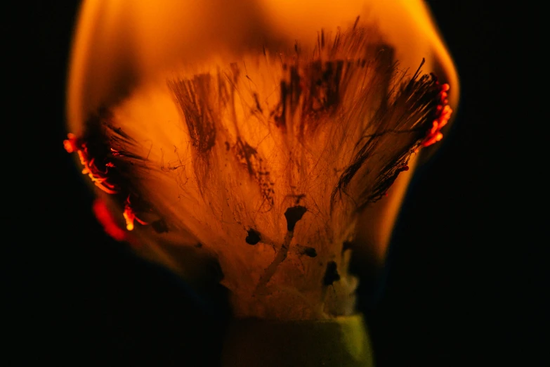 a close up of a lit candle in the dark, a macro photograph, inspired by Elsa Bleda, pexels contest winner, smoking a joint, wearing tumultus flames, burnt paper, inside the flower