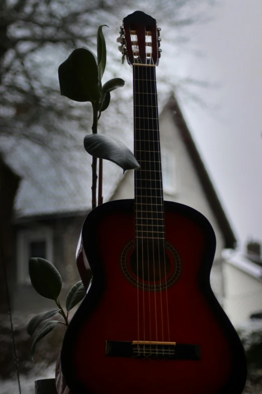 a red guitar sitting on top of a window sill, by Niko Henrichon, pexels contest winner, snowing outside, with a tall tree, low angle!!!!, vines and thorns