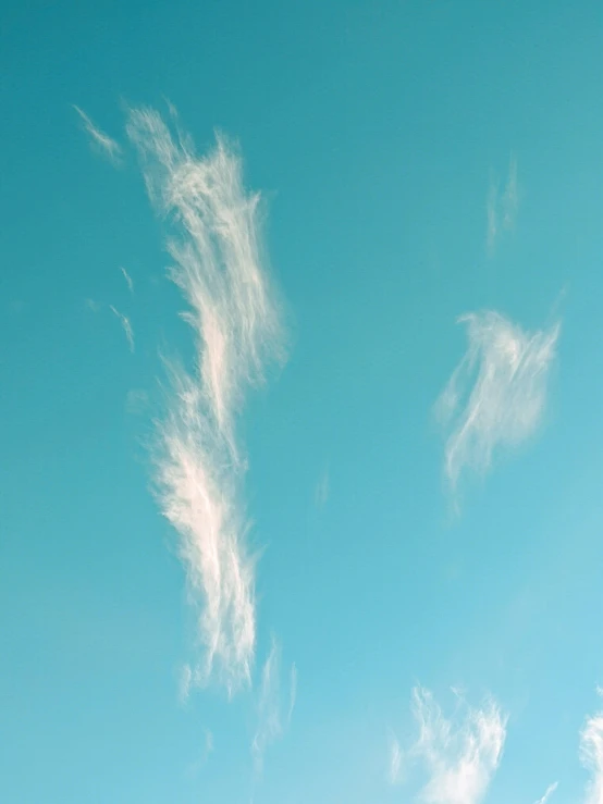 a man flying a kite on top of a lush green field, unsplash, hurufiyya, face made out of clouds, cloud-like white hair, profile image, angels