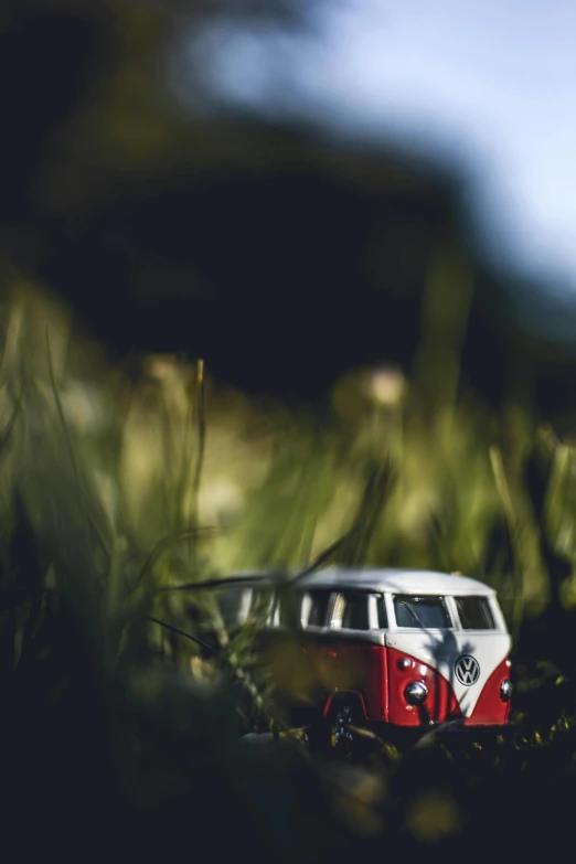 a toy bus sitting on top of a lush green field, a tilt shift photo, unsplash contest winner, visual art, red car, avatar image, kombi, softly lit