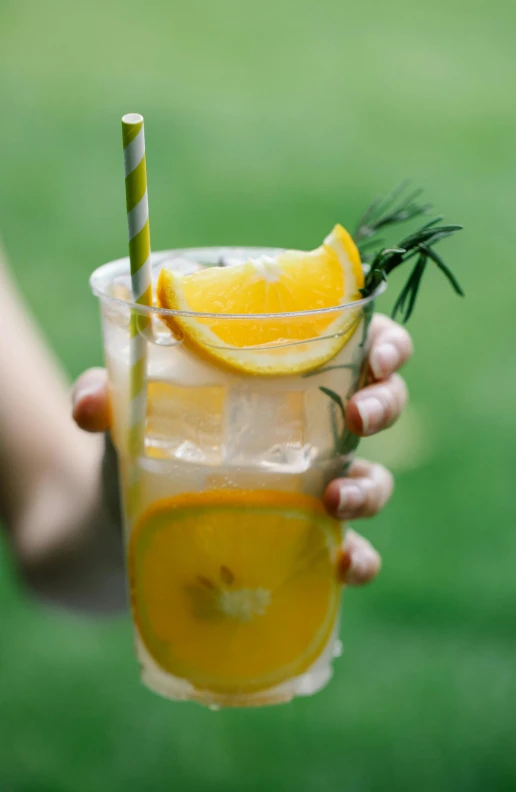 a person holding a glass of lemonade with a straw, pexels, renaissance, promo image, botanicals, portrait n - 9, festivals