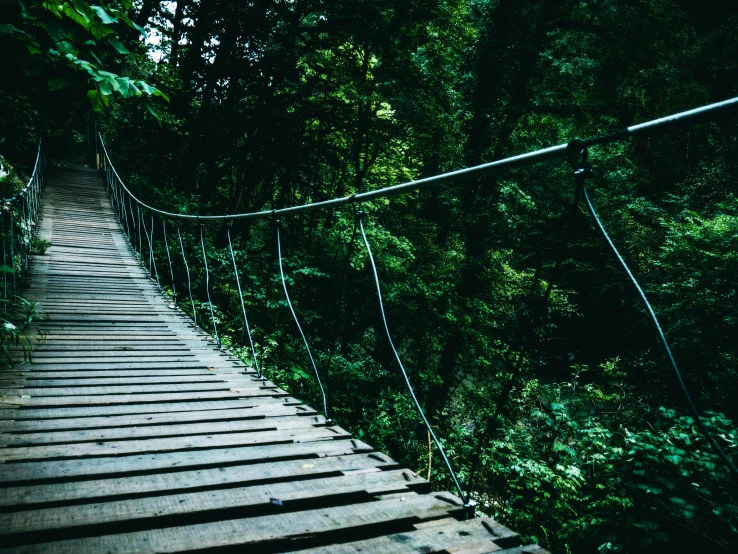 a suspension bridge in the middle of a forest, an album cover, inspired by Elsa Bleda, unsplash, sumatraism, wooden stairs, 2 5 6 x 2 5 6 pixels, curvacious, deep green