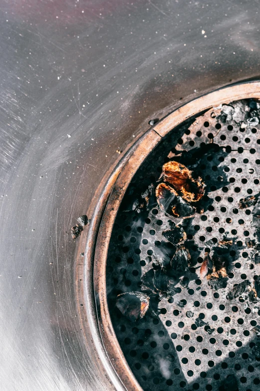 a close up of a dirty sink drain, an album cover, by Else Alfelt, trending on unsplash, made of insects, charred, stove, buds