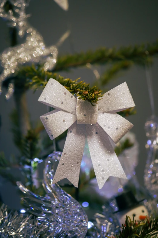 a close up of a christmas ornament on a tree, bowknot, white holographic plastic, paul barson, various sizes