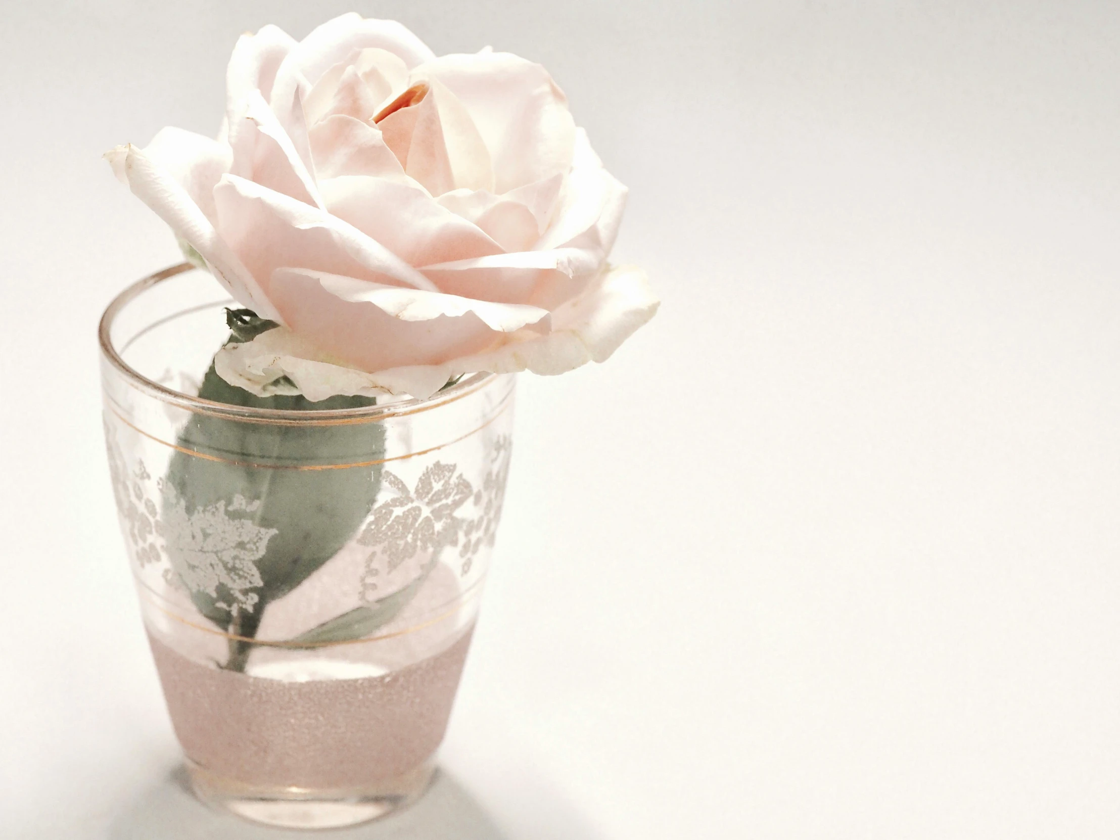 a close up of a glass with a flower in it, pexels, romanticism, pastel pink, paper decoration, rose gold, fine lace