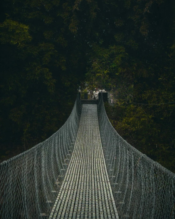 a suspension bridge in the middle of a forest, by Jacob Toorenvliet, pexels contest winner, sumatraism, album cover, over the shoulder, slightly pixelated, looking towards camera