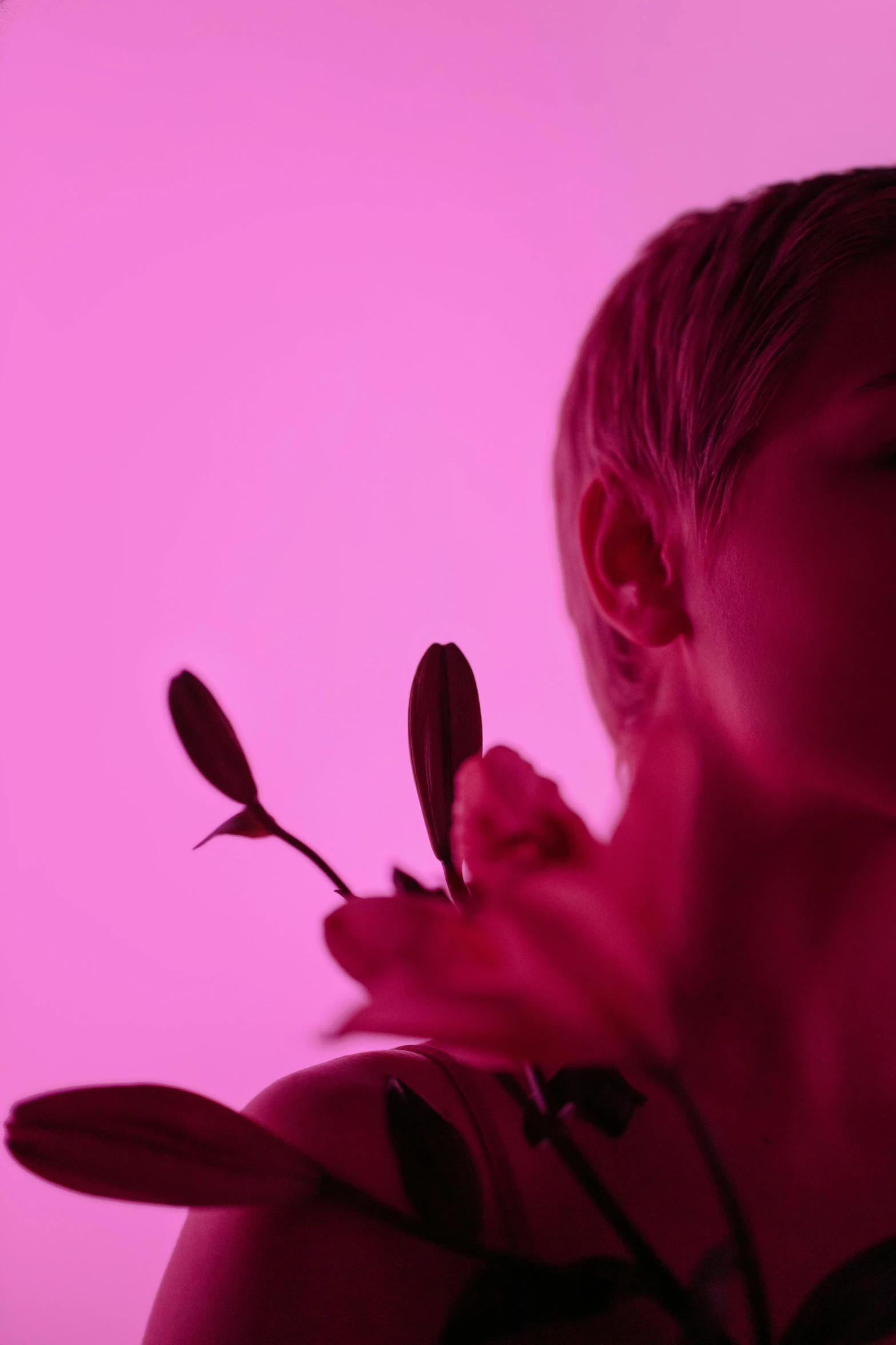 a woman holding a flower in front of a pink background, an album cover, trending on pexels, aestheticism, dark neon lighting, showstudio, portrait a woman like reol, back lighting