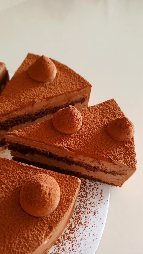 a chocolate cake sitting on top of a white plate, in triangular formation, terracotta, laputa, thumbnail