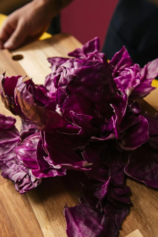 a person cutting red cabbage on a cutting board, ((purple))