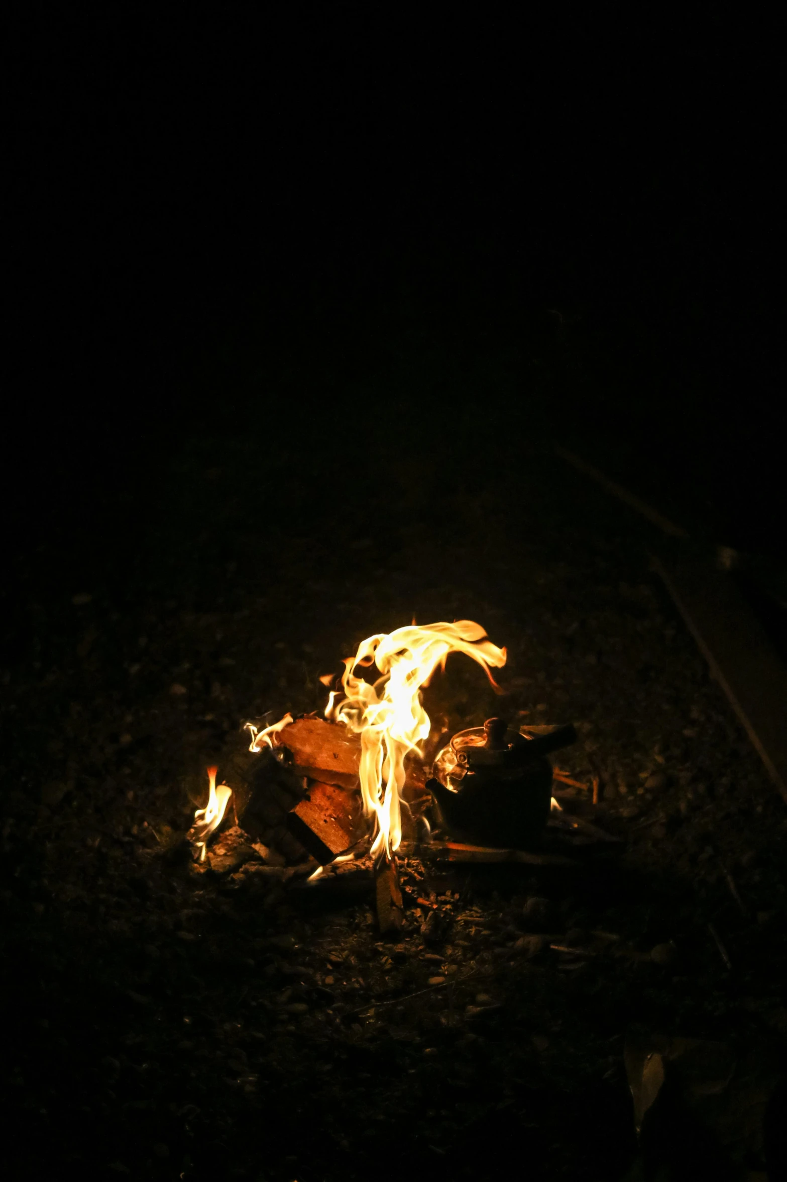 a campfire is lit up in the dark, an album cover, inspired by Andy Goldsworthy, photo taken in 2018, fireflys, ignant, grainy