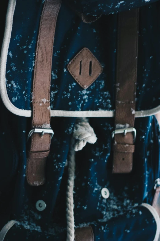 a close up of a backpack with a rope, by Niko Henrichon, trending on unsplash, renaissance, sailor uniform, distressed paint, intricate leather suspenders, milk