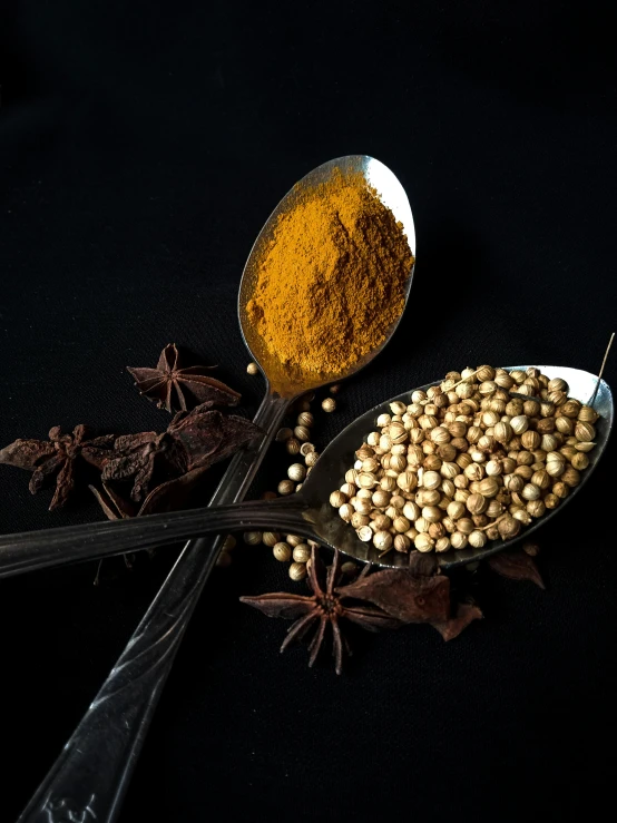 two spoons filled with spices sitting next to each other, inspired by John Steuart Curry, hurufiyya, medium shot portrait, malt, full color photograph, asian descend