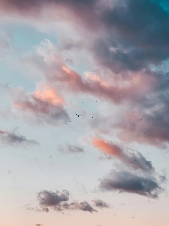 a flock of birds flying through a cloudy sky, by Niko Henrichon, pexels contest winner, aestheticism, pastel blues and pinks, late summer evening, today\'s featured photograph 4k, spaceship in the sky