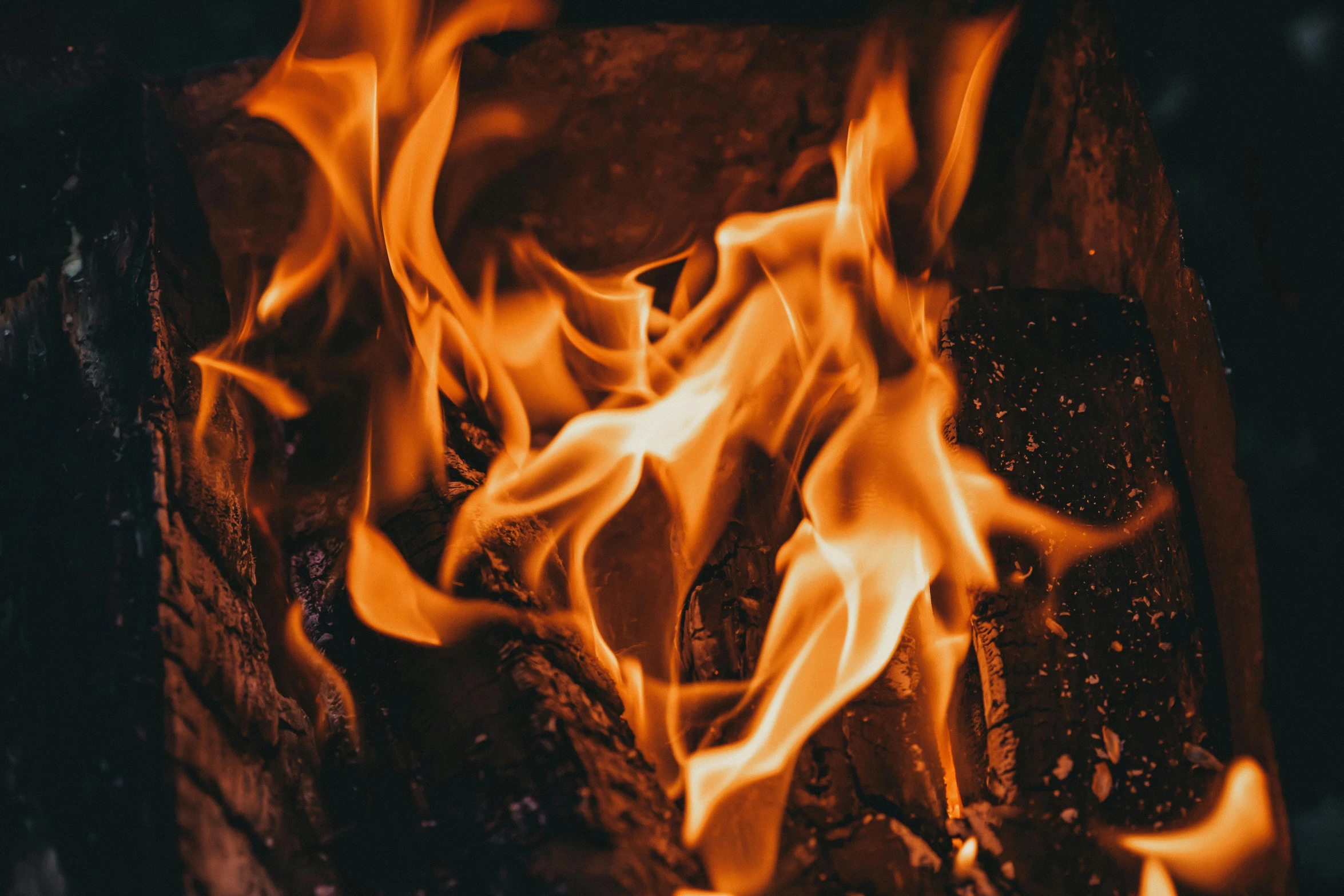 a close up of a fire in a fireplace, pexels contest winner, thumbnail, background image, wings of fire, forest fire