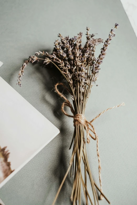 a bunch of dried flowers sitting on top of a table, a still life, trending on pexels, purple ribbons, light grey, detailed product image, high quality paper