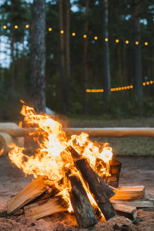 a dog that is sitting in front of a fire, by Jaakko Mattila, pexels contest winner, summer camp, string lights, pine, fireball