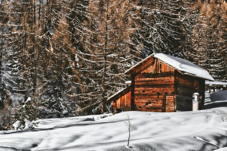 a cabin in the middle of a snowy forest, pexels contest winner, renaissance, background image, interior of a mountain hut, thumbnail, barn