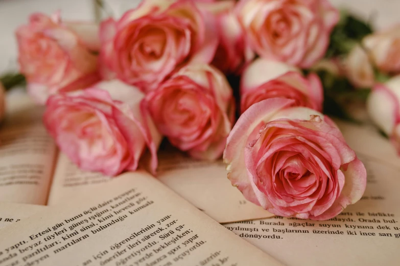 a bunch of pink roses sitting on top of an open book, multiple stories, up close, recipe, ((pink))