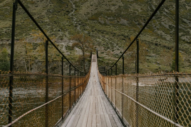 a suspension bridge over a river with a mountain in the background, pexels contest winner, hurufiyya, small steps leading down, panels, new zealand, vintage aesthetic