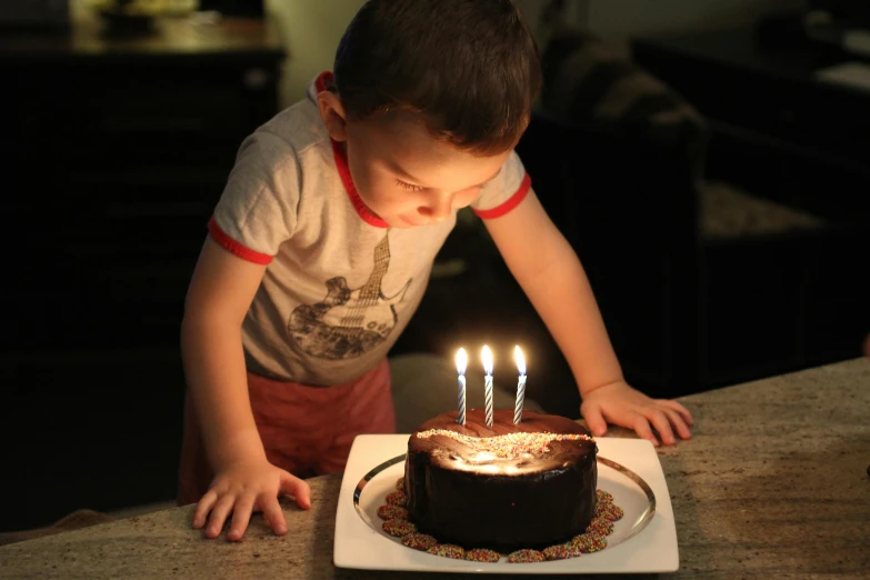 a young boy blowing out candles on a birthday cake, by Sam Dillemans, pexels, dramatic lighting; 4k 8k, brown, back - lit, early morning lighting