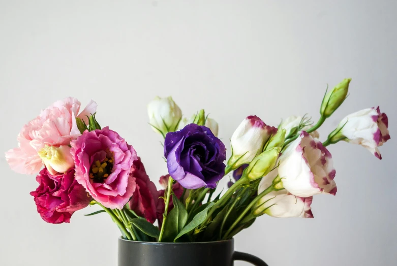 a close up of a vase with flowers in it, a still life, unsplash, purple and pink, various posed, morning glory flowers, mid-view