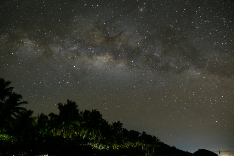 a night sky filled with lots of stars, pexels contest winner, coconut trees, panorama view of the sky, brown, the milk way