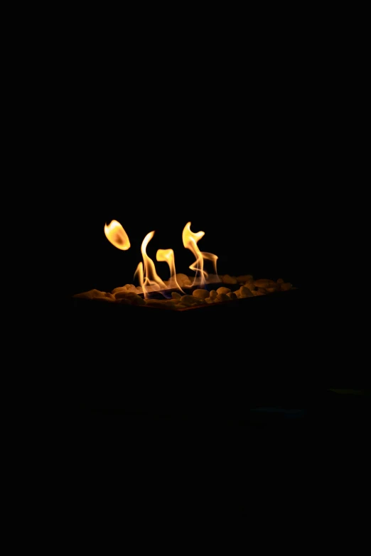 a group of flamingos standing on top of a sandy beach, an album cover, by Matt Cavotta, unsplash, at a campfire at night, avatar image, on black background, outdoor campfire pit