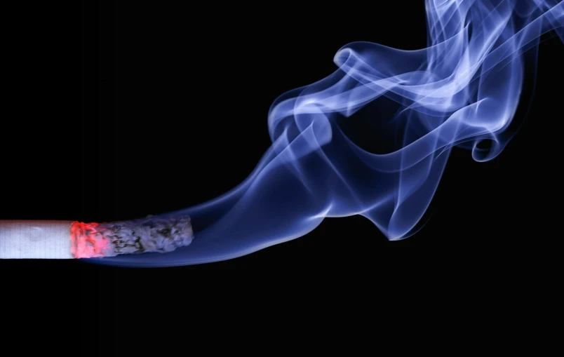 a cigarette with smoke coming out of it, a digital rendering, by Julian Hatton, pexels contest winner, thin blue arteries, lit from the side, julie heffernan, sharp detail