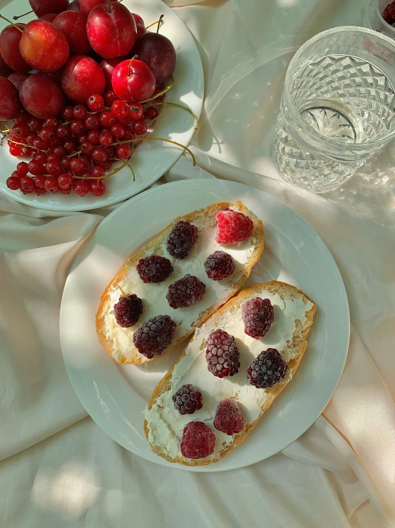 a close up of a plate of food on a table, raspberry, bread, 🎀 🧟 🍓 🧚, style of atget