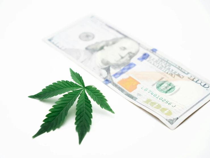 a marijuana leaf next to a hundred dollar bill, high quality product image”, show from below, thumbnail, listing image