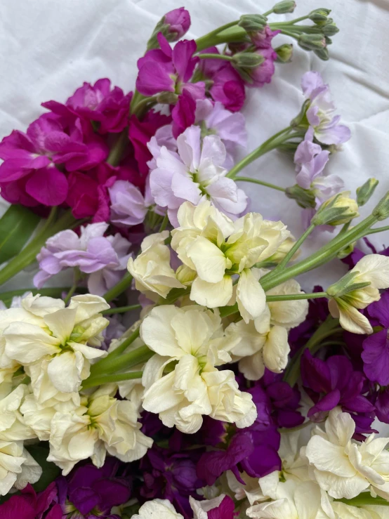 a bunch of purple and white flowers on a table, slide show, farming, loosely cropped, multi - coloured