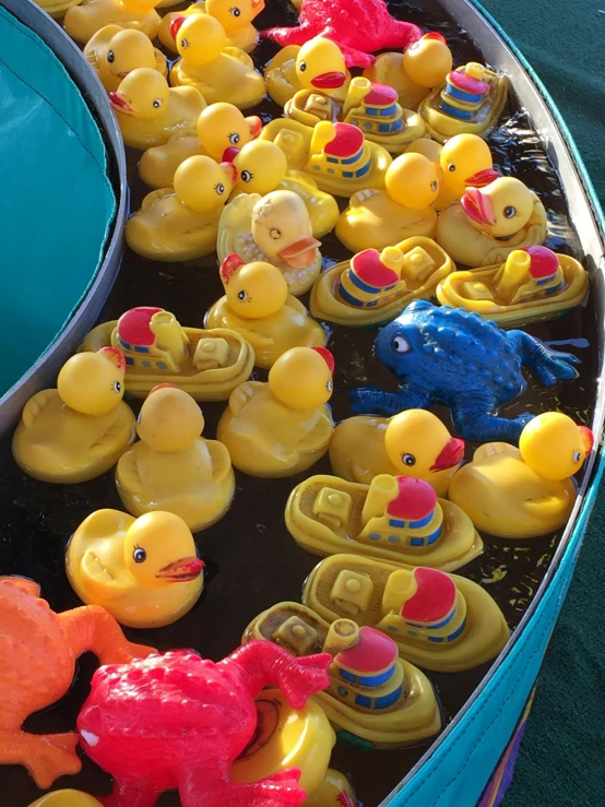 a row boat filled with lots of rubber ducks, by Matt Cavotta, petting zoo, red and teal and yellow, vendors, at dusk!