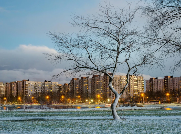 a tree that is standing in the snow, inspired by Alexei Kondratyevich Savrasov, pexels contest winner, grass field surrounding the city, soviet apartment buildings, evening lights, high-rise buildings