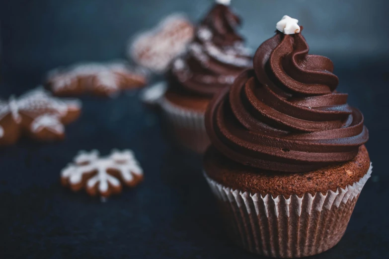 a couple of cupcakes sitting on top of a table, by Sylvia Wishart, trending on pexels, chocolate frosting, holiday, profile image, thumbnail