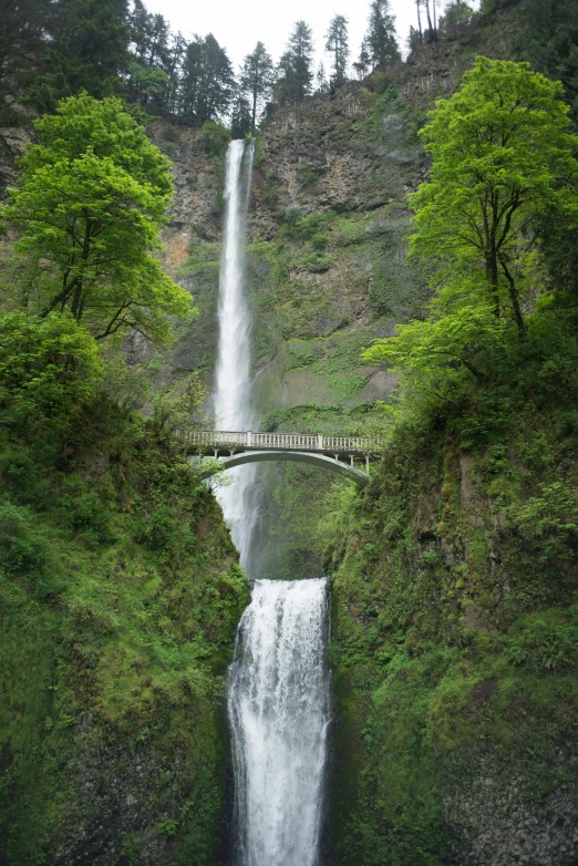 a waterfall in the middle of a lush green forest, renaissance, bridge over the water, oregon trail, tall thin, festivals