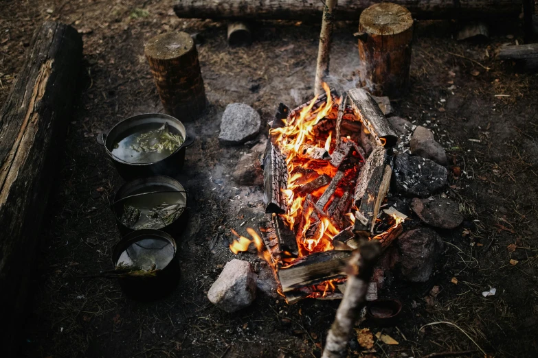 an open fire in the middle of a forest, pexels contest winner, renaissance, hot food, grey, aboriginal, summer setting