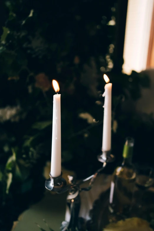 a couple of candles sitting on top of a table, inspired by Elsa Bleda, romanticism, glowing with silver light, romantic greenery, gothic aesthetic, rustic setting