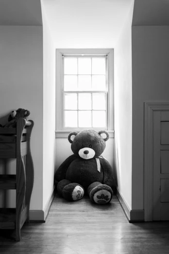 a teddy bear sitting in the corner of a room, inspired by Arnold Newman, 2 4 mm iso 8 0 0, tim jacobus, ( ( photograph ) )