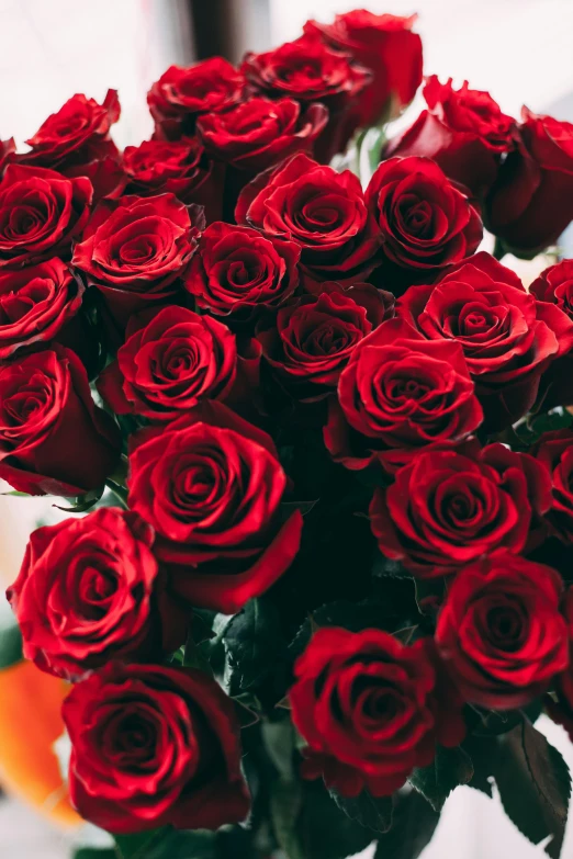 a vase full of red roses sitting on a table, zoomed out, upclose, zoomed in, varying thickness