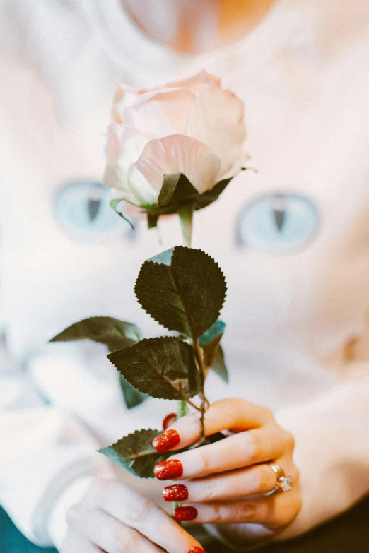 a close up of a person holding a flower, with blue eyes, holding a rose, white ( cat ) girl, pleasing aesthetics