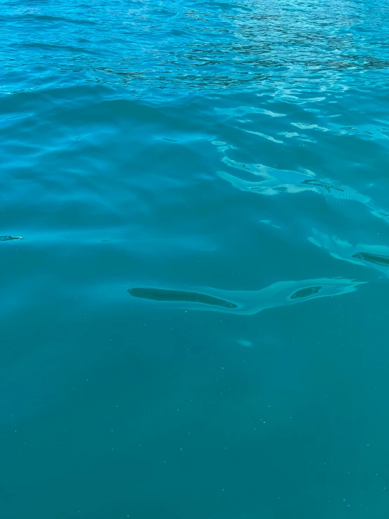 a close up of a body of water with a boat in the background, under water swimming