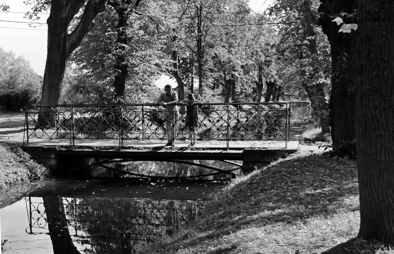 a black and white photo of a bridge in a park, inspired by Ruth Orkin, romanticism, 35mm!!! 1990, anton fedeev, in the autumn, summer afternoon