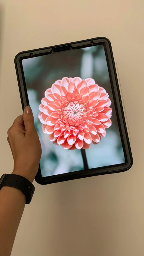 a person holding a tablet with a flower on it, slide show, ap art, 2019 trending photo, apple