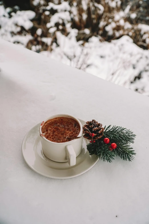 a cup of hot chocolate sitting on top of a table, snowy field, next to a plant, holiday season, stew