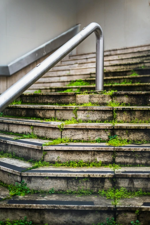 a man riding a skateboard down the side of a flight of stairs, inspired by Thomas Struth, unsplash, ferns and mold on concrete, 8k detail post-processing, grass - like, photograph taken in 2 0 2 0