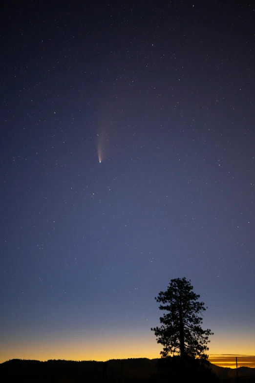 a lone tree is silhouetted against the night sky, a portrait, by Neil Blevins, unsplash, comet, minn, ..', comets