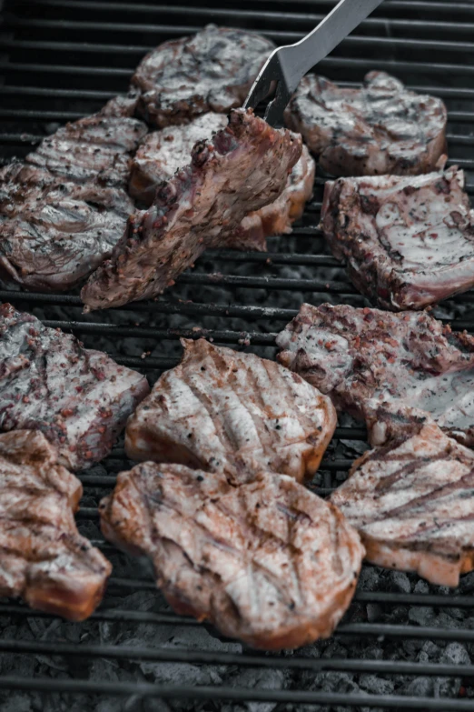 steaks being cooked on a grill with tongs, by Alejandro Obregón, gray mottled skin, patagonian, an intricate, carved