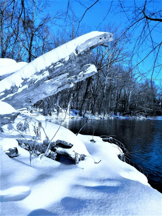 a bird sitting on top of a pile of snow next to a body of water, trees bent over the river, ice cold blue theme, a mystic river, today\'s featured photograph 4k